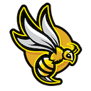 Beejayu Games Logo